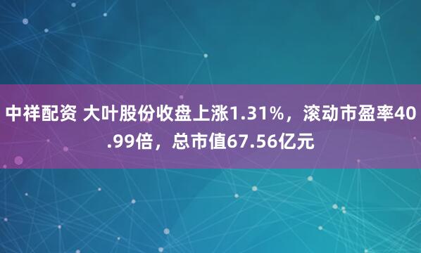 中祥配资 大叶股份收盘上涨1.31%，滚动市盈率40.99倍，总市值67.56亿元