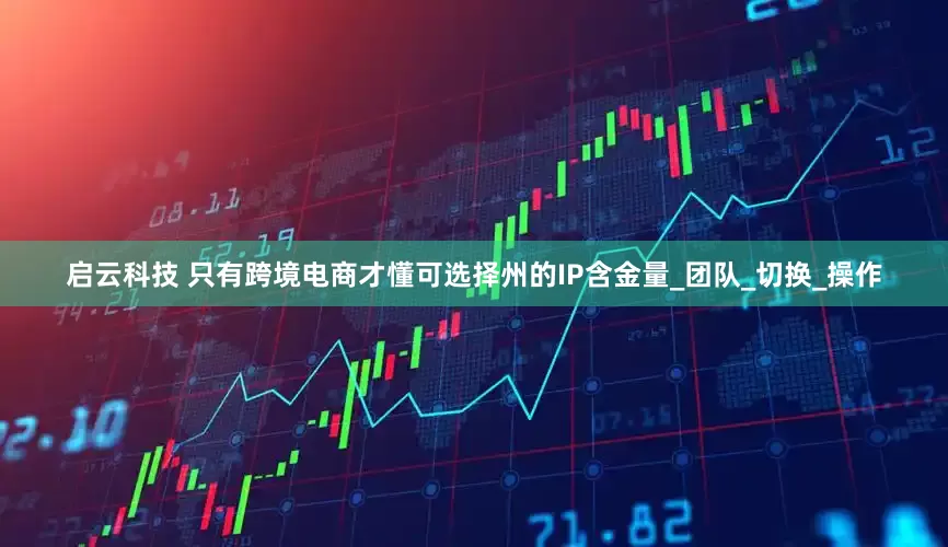 启云科技 只有跨境电商才懂可选择州的IP含金量_团队_切换_操作