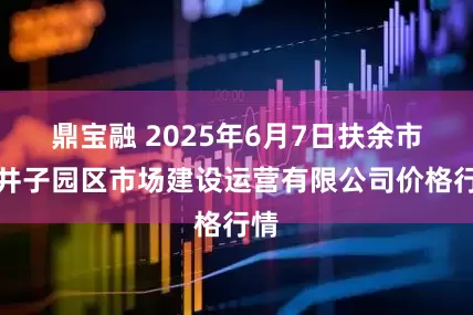 鼎宝融 2025年6月7日扶余市三井子园区市场建设运营有限公司价格行情