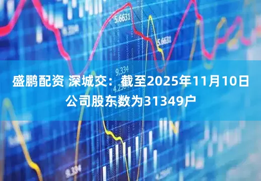 盛鹏配资 深城交：截至2025年11月10日公司股东数为31349户